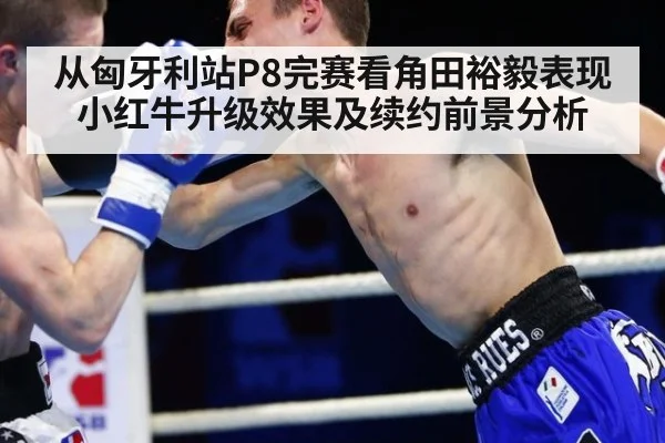 从匈牙利站P8完赛看角田裕毅表现 小红牛升级效果及续约前景分析